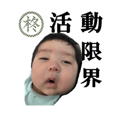 Shu-Boh-Stamp