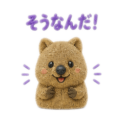 gdgd41s_20260506235552