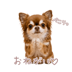 MyNameIsSANGO_20260507000441
