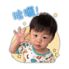 烏龍茶小可愛