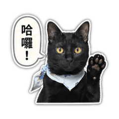 啊寶＿日常版