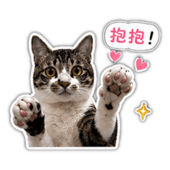 NuNu日常版