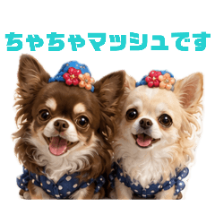 riotama_20260506230336
