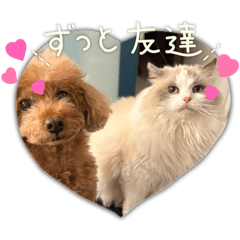 yoshida_20260509011536