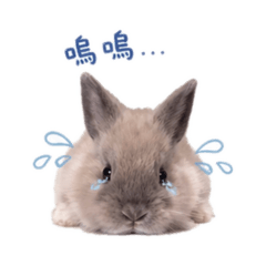 偶咦的生活