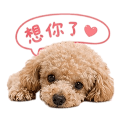米凡家的咪將