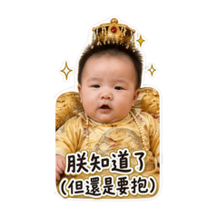 沐沐的專用語言