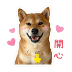 牛   牛