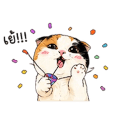meem cat funny v.4