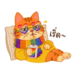Proud & Playful Orange Cat