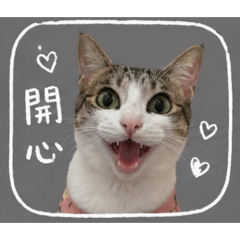 77的生活日常用語