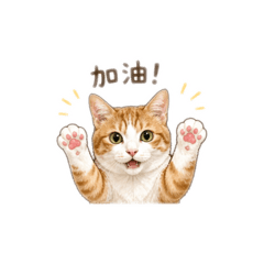 查理貓咪