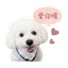 雞蛋寶寶♡