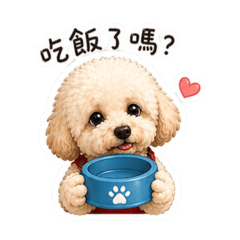 QQ的日常貼圖1