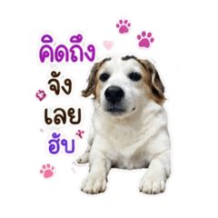 MUMIND_20260505091300