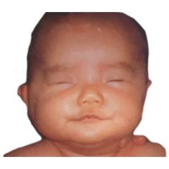 N_20260507003647