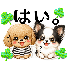 COCOURU_20260507003458