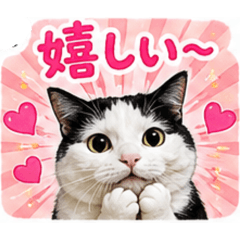 MiiMuu_20260507003753
