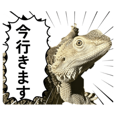tun_20260507010626