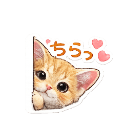 Rin_20260507011755