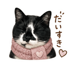 kuroro_20260507011653