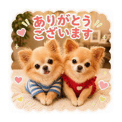 shizuku_20260507010302