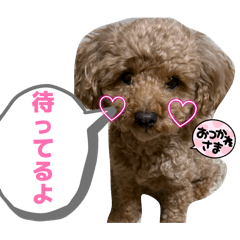 sakamichi_20260507010851