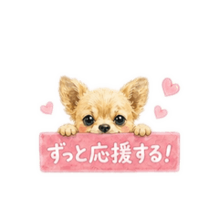 mell_20260508205846