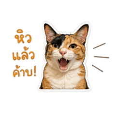 Khunnoononglucky