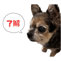 kuro_20260507011016
