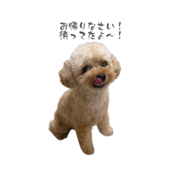 ayaka_20260507012845