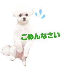 narumiii_20260507013303