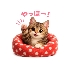chiizou2