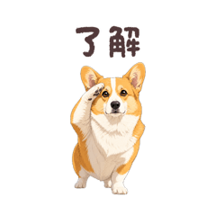oshisho_20260507030753