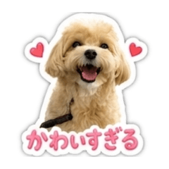 HITOMI_20260507024014