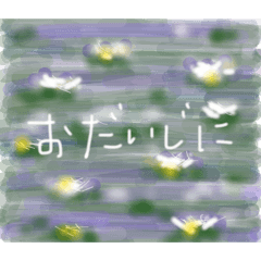 Y&PAPI_20260507021122