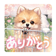 sou_20260507035452