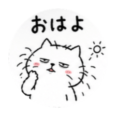 yytaniku_2026 cat  yurukawa