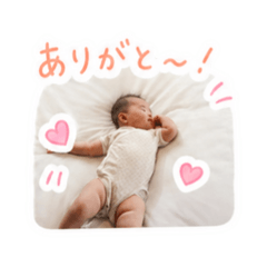 Fujita_20260507042415