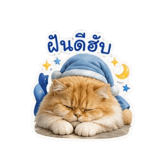 KaewtaM_20260430144538