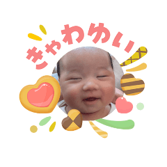 ryu_20260507062318