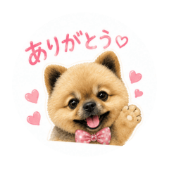 mam_20260507063400