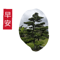 早安及謝謝圖集合