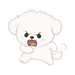 Fafa Chen