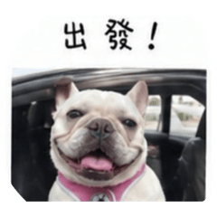胖錢的日常❤️