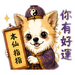 Q版吉娃娃算命仙