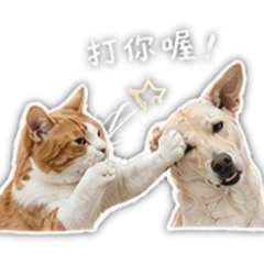 我就爛但很可愛2