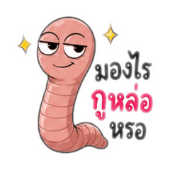 earthwormFun