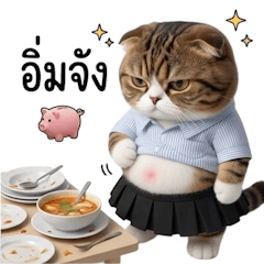 เหมียวอ้วนหน้าดุ 2