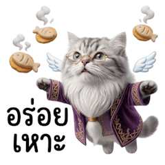 พ่อมดเหมียวๆน่ารัก